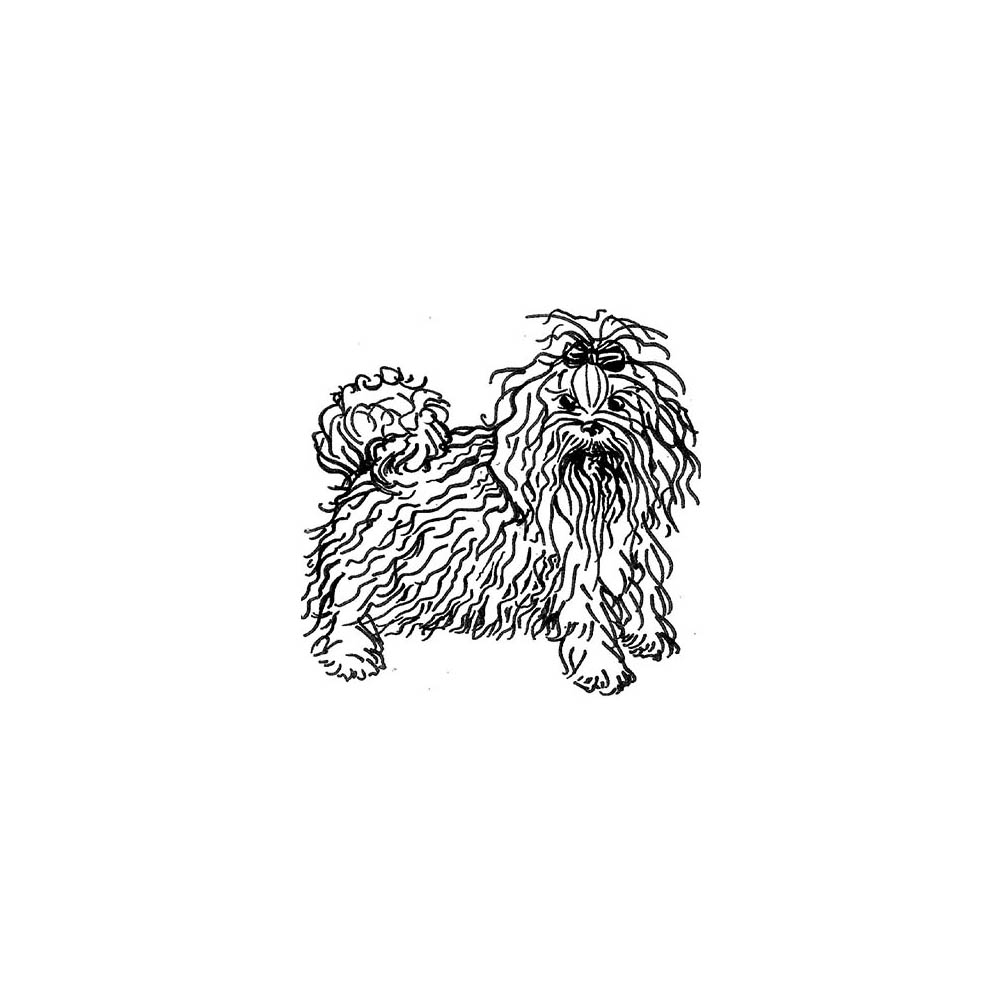 red october russian bolonkas north carolina