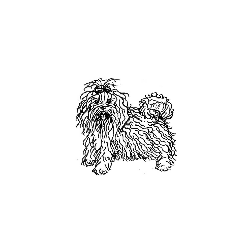 red october russian bolonkas north carolina