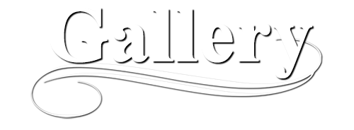 Bolonka Photo Gallery for Red October Russian Tsvetnaya Bolonkas