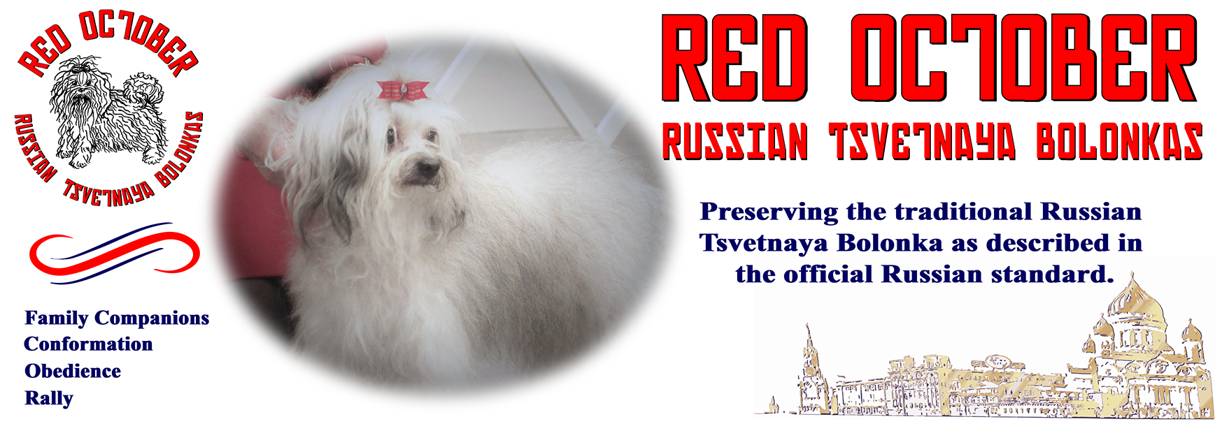 red october Russian Tsvetnaya Bolonkas website logo