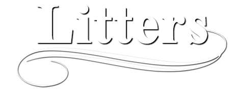 Red October Russian Tsvetnaya Bolonkas litter information