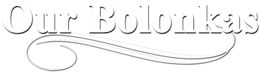 our dogs and bitches at Red October Russian Tsvetnaya Bolonkas