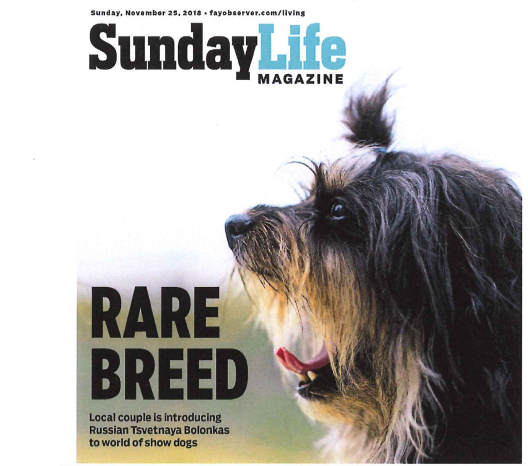 red october Russian Tsvetnaya Bolonkas featured in the Fayetteville Observer