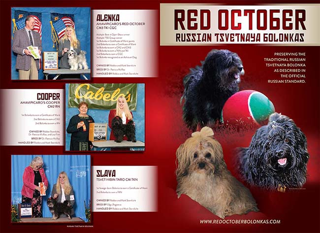 Red October Russian Tsvetnaya Bolonka showsite magazine ad